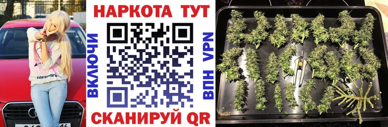 Купить наркотик аптеки Хадыженск Экстази  МЕФ  Каннабис  Cocaine 