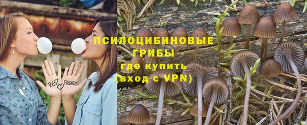 метадон Магас