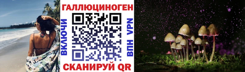 Галлюциногенные грибы Psilocybe  наркота  Хадыженск 